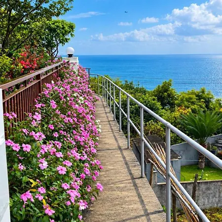 Adega Do Avo, Madeira Island Holiday home