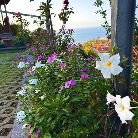 Adega Do Avo, Madeira Island Holiday home Ponta Delgada (Madeira)